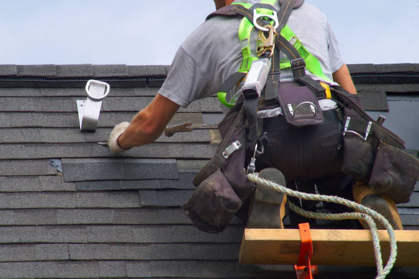 Best Shingle Roofing Installation  in Nashwauk, MN
